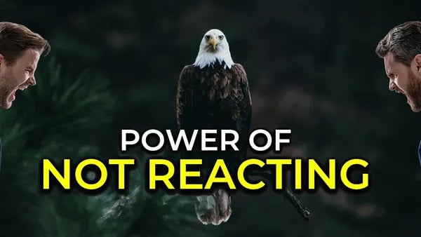 React Less, Win More: Surprising Lessons in Emotional Self-Regulation Cover