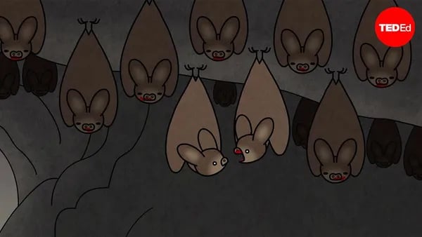 Beneath the Moon: What Vampire Bats Can Teach Us About Survival, Community, and Change Cover