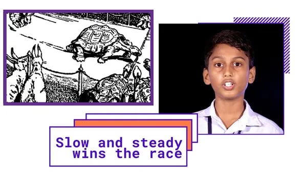 Why the Tortoise Had It Right: Rethinking the Race for Success Cover